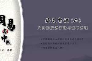 潘毅淍昜与中医（视频）
