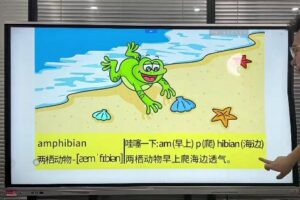 单词314法零基础快速速记忆3500单词