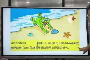 单词314法零基础快速速记忆3500单词
