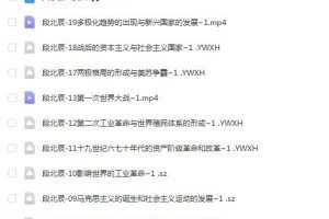 2023年高考历史备考三阶段计划-段北辰教授