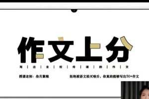 【树成林】2024高考作文上分训练营2.0网课