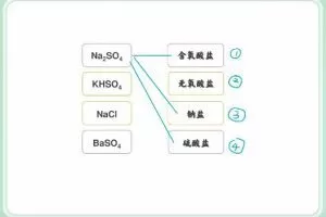 梁凯2022年暑高一化学暑假班山东版10讲，帮助理解知识点！