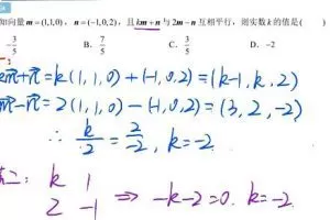 专业辅导，轻松应对高二数学难题：肖晗2023高二数学暑秋班