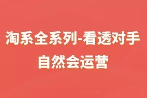 淘系全系列-看透对手，自然会运营