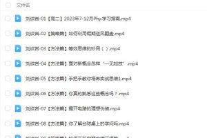 刘纹岩物理2024高二物理（上学期）暑假班网课