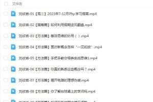 刘纹岩物理2024高二物理（上学期）暑假班网课