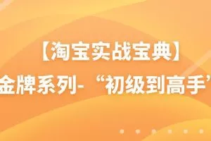 【淘宝实战宝典】金牌系列-“初级到高手”