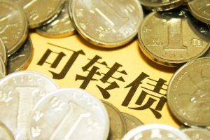 「梧桐」2023年梧桐老师可转债第二期