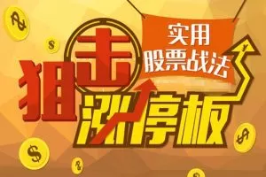 【股谱老王】王建涨停特训营