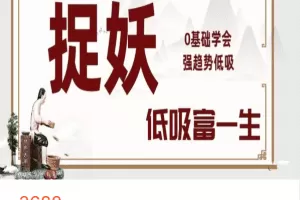 情绪周期战法!捉妖视屏课!0基础学会强趋势低吸