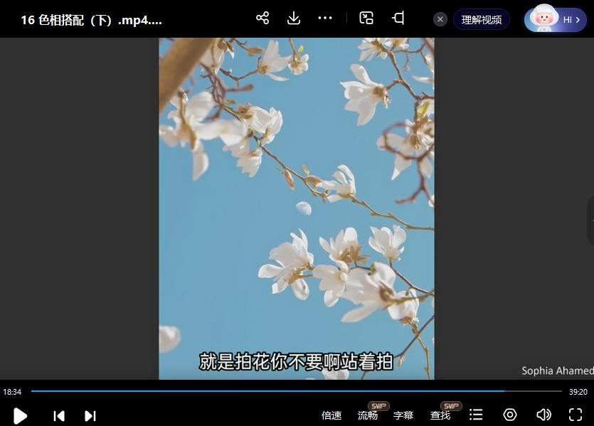 Thomas看看世界给摄影爱好者的色彩课2023【画质高清有素材】