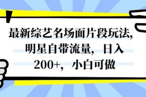 最新综艺名场面片段玩法，明星自带流量，日入200+，小白可做