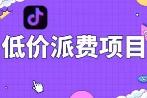 抖音低价派单项目，0门槛，日入1000+很轻松，小白可操作【揭秘】