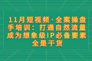 11月短视频·全案操盘手培训：打通自然流量 成为想象级IP必备要素 全是干货