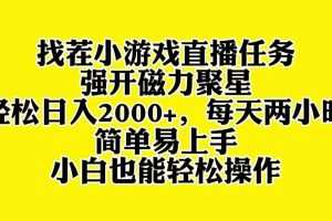 找茬小游戏直播，强开磁力聚星，轻松日入2000+，小白也能轻松上手