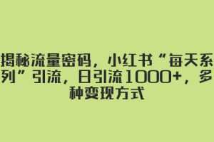 揭秘流量密码，小红书“每天系列”引流，日引流1000+，多种变现方式