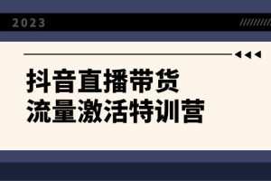 抖音直播带货-流量激活特训营，入行新手小白主播必学（21节课+资料）