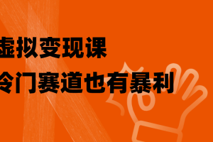 虚拟变现课，冷门赛道也有暴利，手把手教你玩转冷门私域