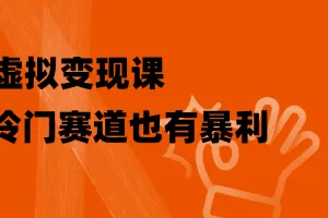 虚拟变现课，冷门赛道也有暴利，手把手教你玩转冷门私域