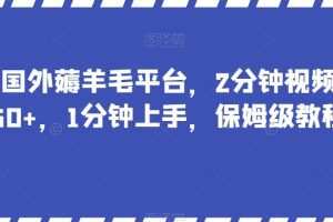 最新国外薅羊毛平台，2分钟视频收益50+，1分钟上手，保姆级教程【揭秘】