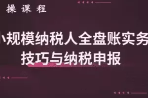 小规模纳税人全盘真帐实操账务处理及纳税申报