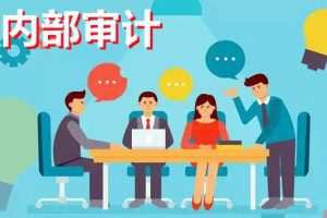 中华会计网校：内部审计讲解