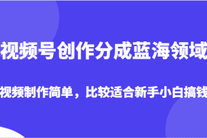视频号创作分成蓝海领域，视频制作简单，比较适合新手小白搞钱