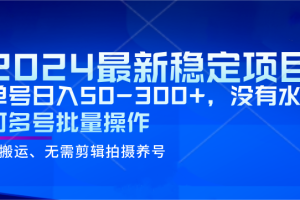 2024最新稳定风口项目，单号日入50-300+，没有水分 可多号批量操作