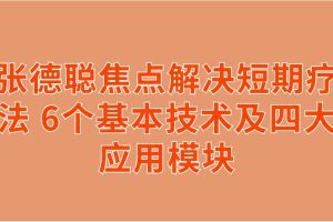 张德聪焦点解决短期疗法 6个基本技术及四大应用模块