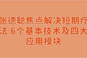 张德聪焦点解决短期疗法 6个基本技术及四大应用模块