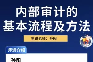 中华会计网校孙阳：内部审计方法及流程（视频）