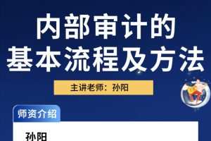 中华会计网校孙阳：内部审计方法及流程（视频）