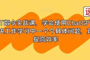 GPT指令实战课，学会使用ChatGPT，解决工作学习中一个个具体问题，真正…