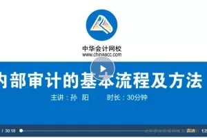 2022年内部审计的工作流程(视频+讲义）