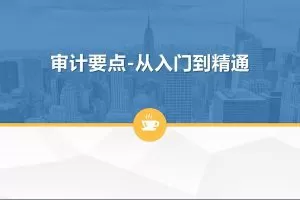 一门课学通审计实务：审计要点-从入门到精通