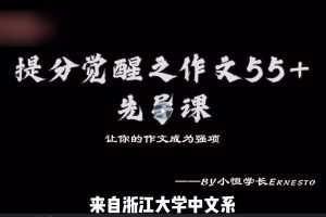 小恒学长Ernesto 提分觉醒之作文55+——作文全套上分系统课
