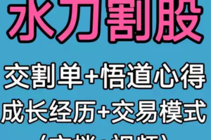 「水刀割股」2023年水刀割股10个月100w做到900w交割单视频