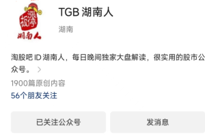 「淘股吧」TGB湖南人TGB湖南人20231125看盘方法1：集合竞价的观察分析流程和应对新题材