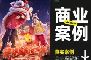 真实商业案例全流程详解2023全新DLC