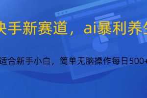 快手新赛道，ai暴利养生，0基础的小白也可以轻松操作轻松日入500+