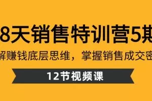 28天销售特训营5期：了解赚钱底层思维，掌握销售成交密码（12节课）