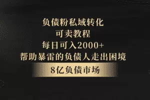 负债粉私域转化，可卖教程，每日可入2000+，无需经验