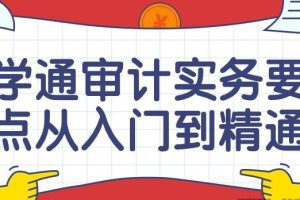 学通审计实务要点从入门到精通课