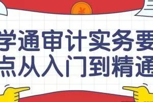 学通审计实务要点从入门到精通课
