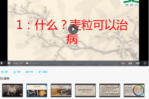 中医麦粒灸视频课程16集