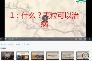 中医麦粒灸视频课程16集