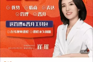 《崔璀视频课》五合一优势+情绪+表达+管理+晋升