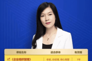 《许林芳在线视频课专辑》三合一   组织管理+招聘+批量人才A