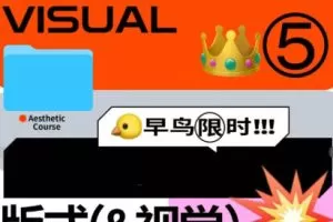 【缺课】召物少年美学课程版式与视觉第5期2023年【画质还行只有视频】