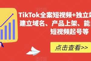 TikTok全案短视频+独立站，包括：建立域名、产品上架、能自主从0-1短视…